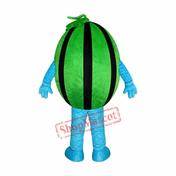 Affordable Watermelon Mascot Costume Affordable Watermelon Mascot Costume