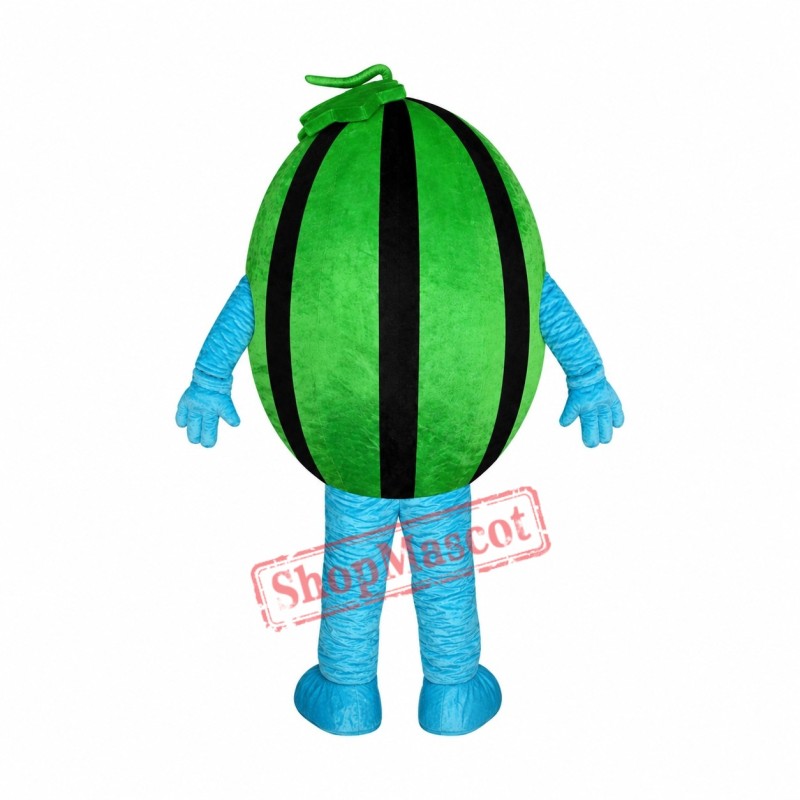 Affordable Watermelon Mascot Costume Affordable Watermelon Mascot Costume