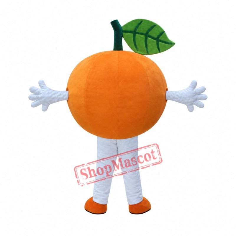 Affordable Orange Fruit Mascot Costume Affordable Orange Fruit Mascot Costume