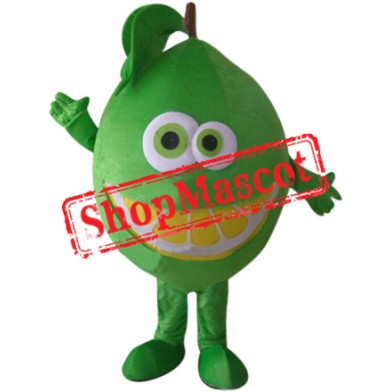 Green Orange Mascot Costume
