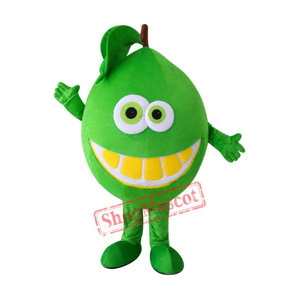 Green Orange Mascot Costume Green Orange Mascot Costume