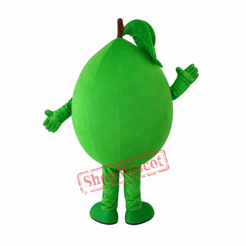 Green Orange Mascot Costume