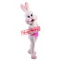 Happy Bunny Girl Mascot Costume