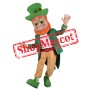 Superb Leprechaun Mascot Costume