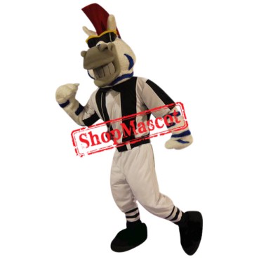 Cool Zebra Mascot Costume