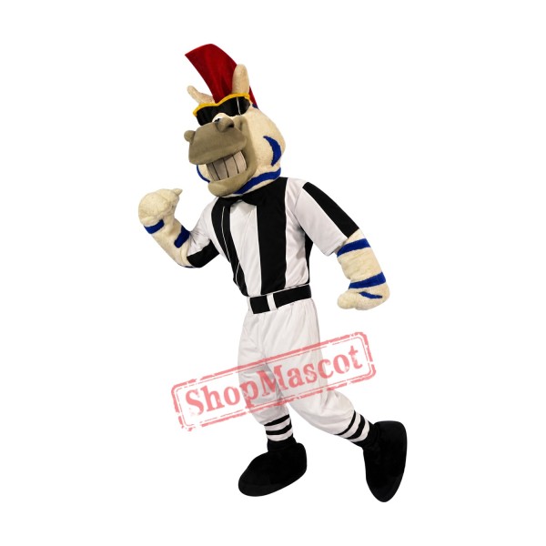 Cool Zebra Mascot Costume