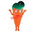 Funny Carrot Mascot Costume