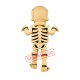 Skeleton Mascot Costume