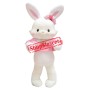 Pink & White Rabbit Mascot Costume