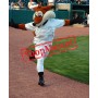 Power Sport Lightweight Fox Mascot Costume