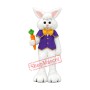 Super Cute Easter Bunny Mascot Costume