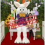 Super Cute Easter Bunny Mascot Costume