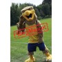 Brown College Hawk Mascot Costume