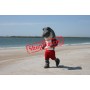Running Shark Mascot Costume