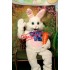 Happy Easter Bunny Mascot Costume