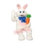 Happy Easter Bunny Mascot Costume