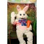 Happy Easter Bunny Mascot Costume