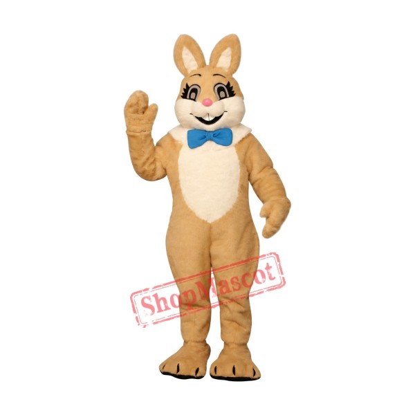 Friendly Brown Easter Bunny Mascot Costume