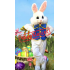 Lovely Easter Bunny Mascot Costume