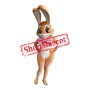 Beautiful Female Easter Bunny Mascot Costume