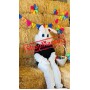 Young Easter Bunny Mascot Costume