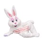Superb Friendly White Rabbit Mascot Costume