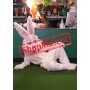 Superb Friendly White Rabbit Mascot Costume