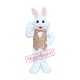 New Easter Bunny Mascot Costume New Easter Bunny Mascot Costume