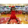 Superb College Sport Wolf Mascot Costume