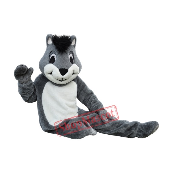 Superb Friendly Squirrel Mascot Costume