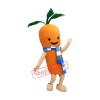 Cute Carrot Mascot Costume