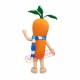 Cute Carrot Mascot Costume