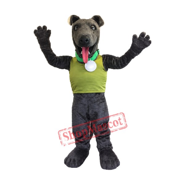 Superb Greyhound Mascot Costume