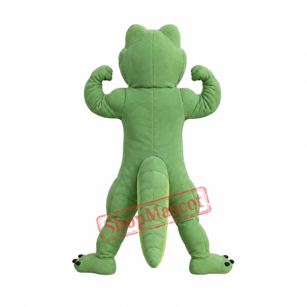 Power Friendly Crocodile Mascot Costume
