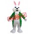 Green Suit Easter Bunny Mascot Costume Available In US Warehouse
