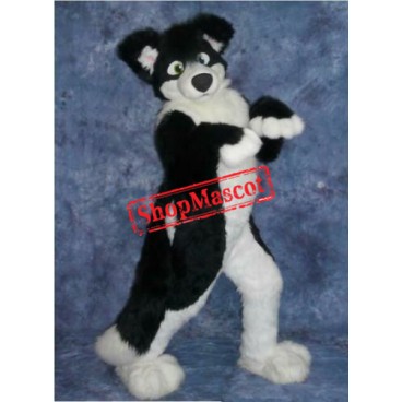 Black Border Collie Husky Dog Mascot Costume