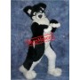 Black Border Collie Husky Dog Mascot Costume