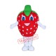 Happy Lightweight Strawberry Mascot Costume