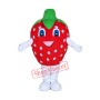 Happy Lightweight Strawberry Mascot Costume
