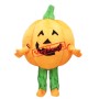 Cheap Pumpkin Mascot Costume