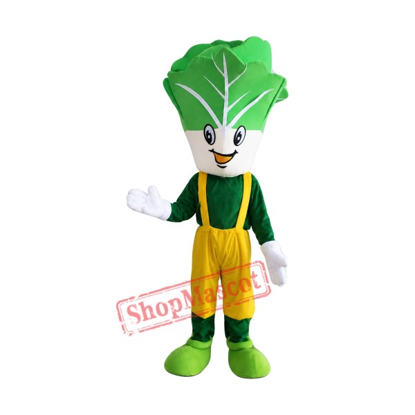 Cheap Cabbage Mascot Costume