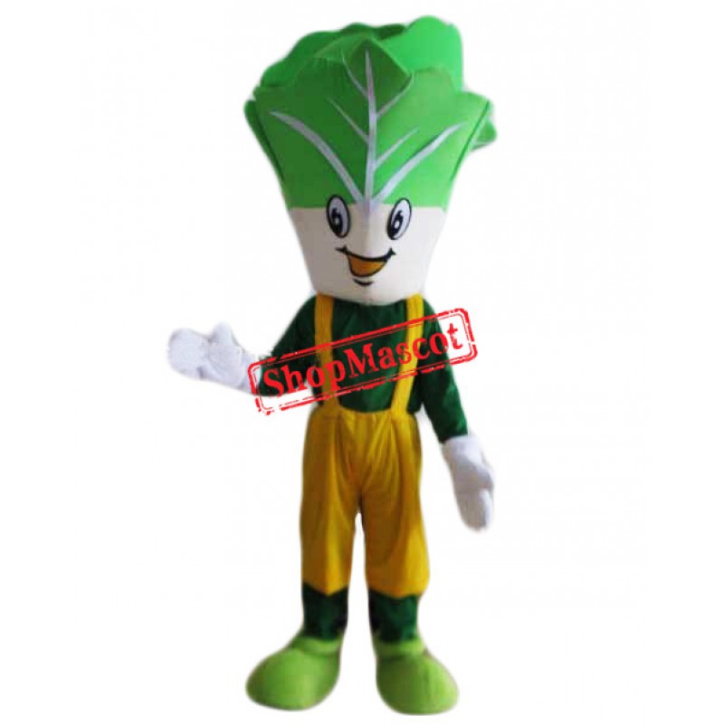 Cheap Cabbage Mascot Costume
