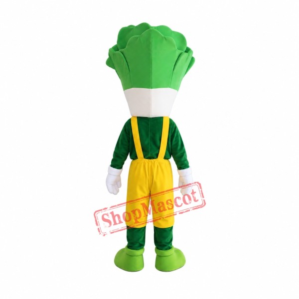 Cheap Cabbage Mascot Costume Cheap Cabbage Mascot Costume