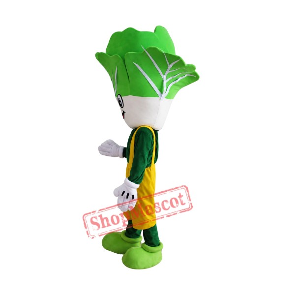 Cheap Cabbage Mascot Costume Cheap Cabbage Mascot Costume