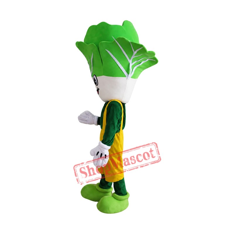 Cheap Cabbage Mascot Costume Cheap Cabbage Mascot Costume