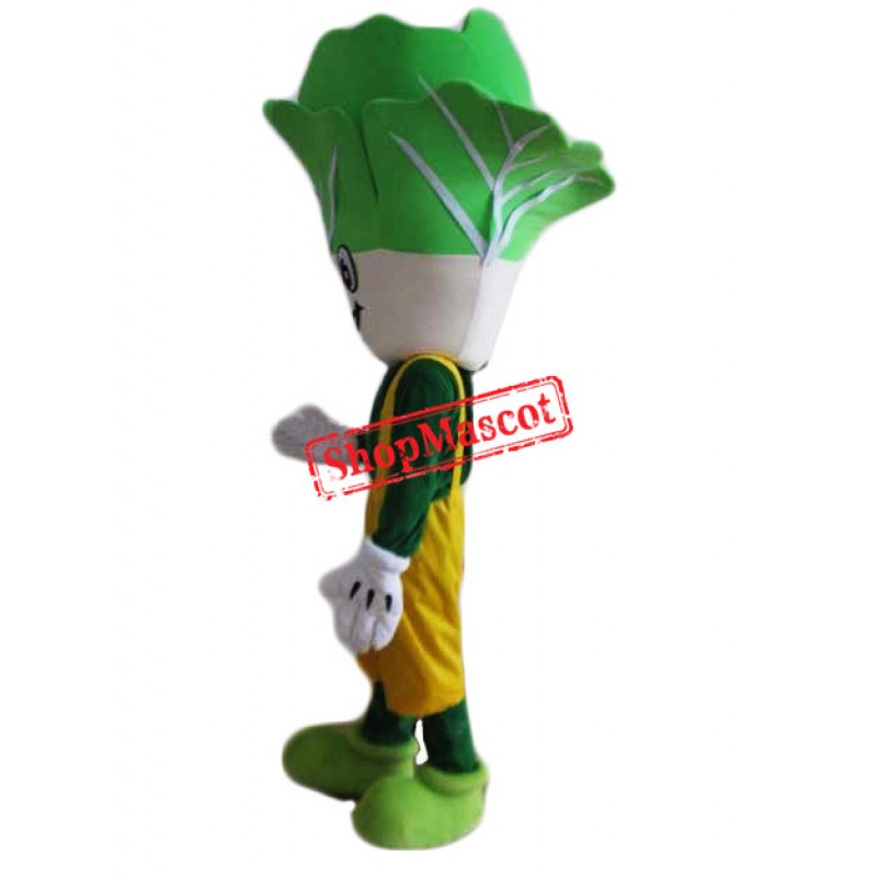 Cheap Cabbage Mascot Costume