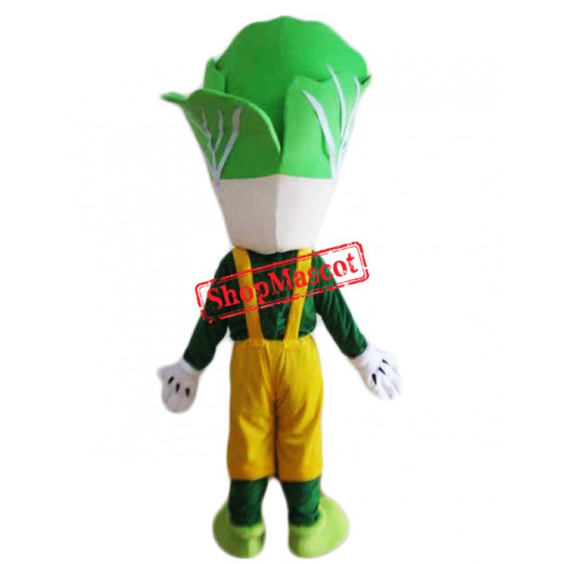 Cheap Cabbage Mascot Costume