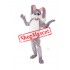 Super Cute Lightweight Rabbit Mascot Costume