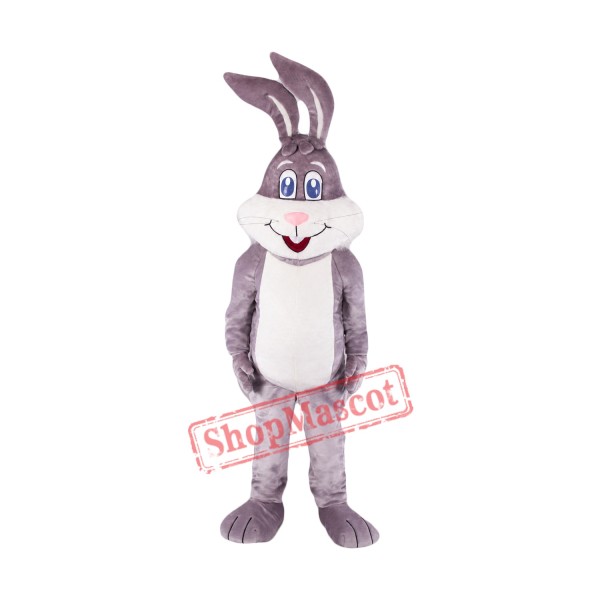 Super Cute Grey Rabbit Mascot Costume