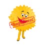 Happy Sun Mascot Costume Free Shipping